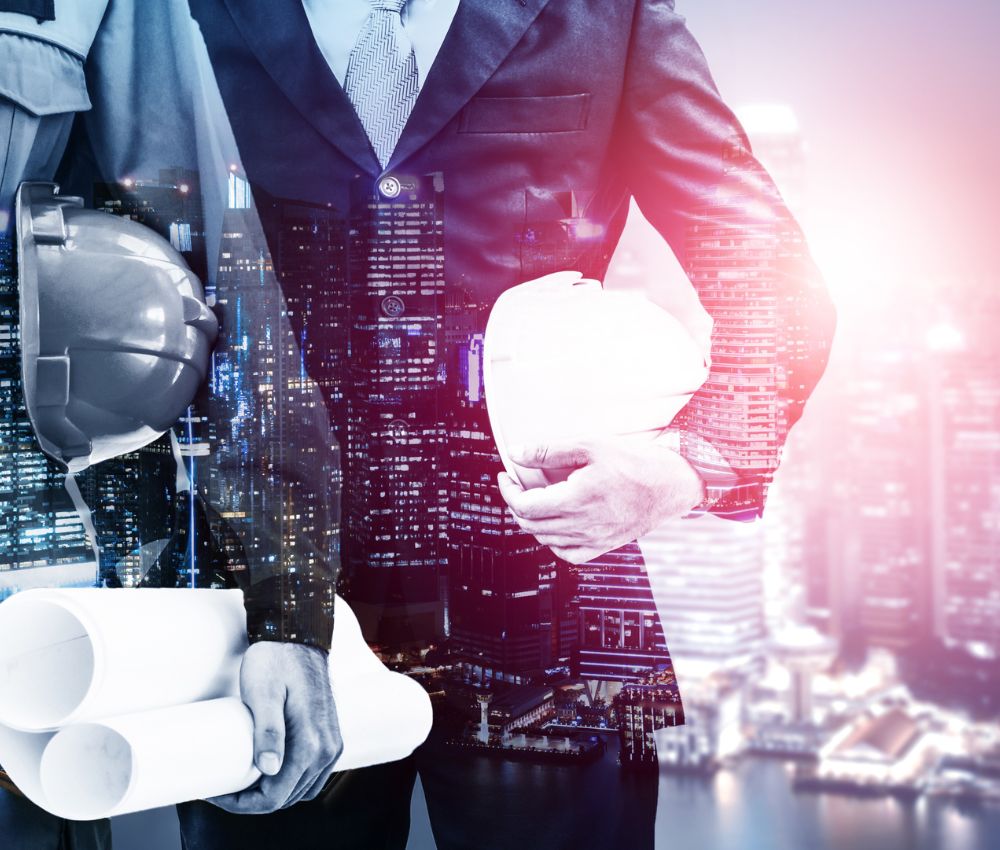 Servicii project management