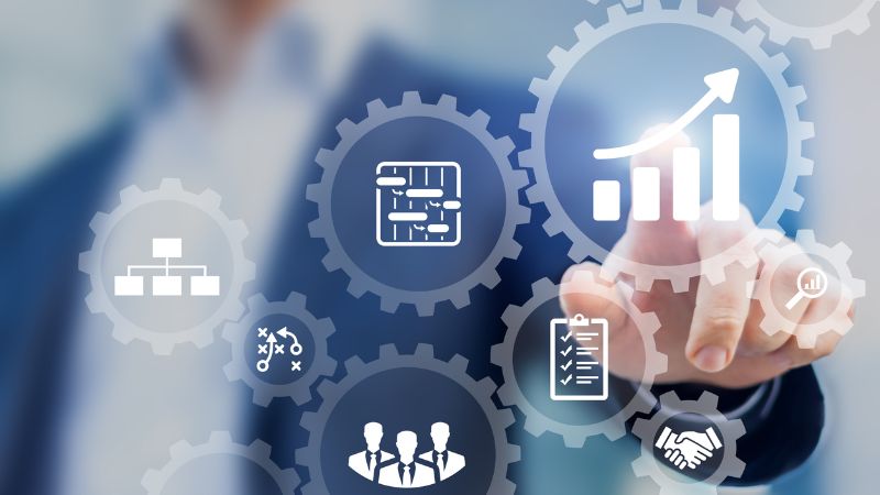 Servicii cost management