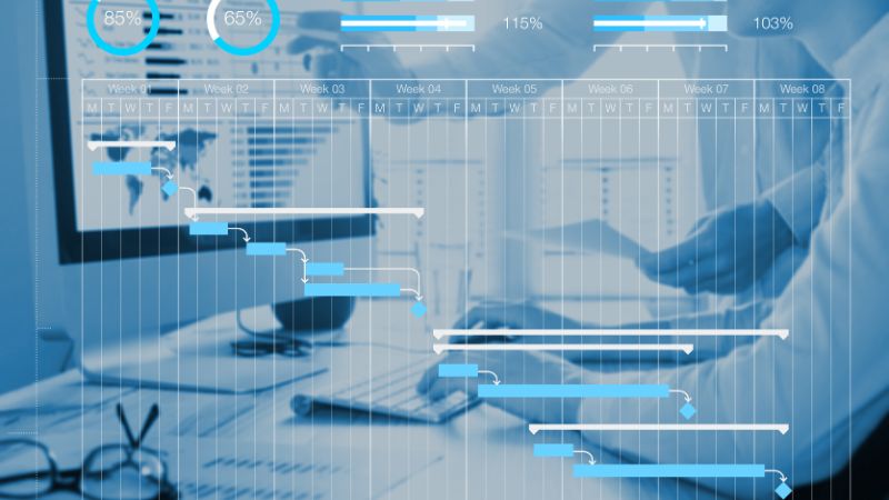 Servicii managementul achizitiilor