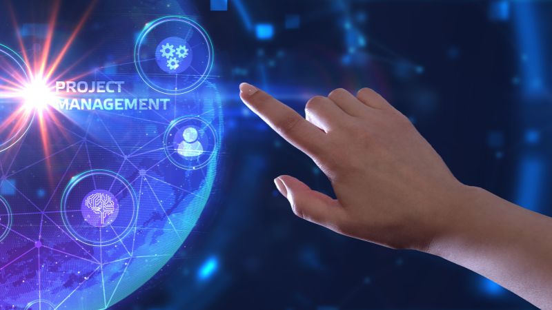 Servicii project management